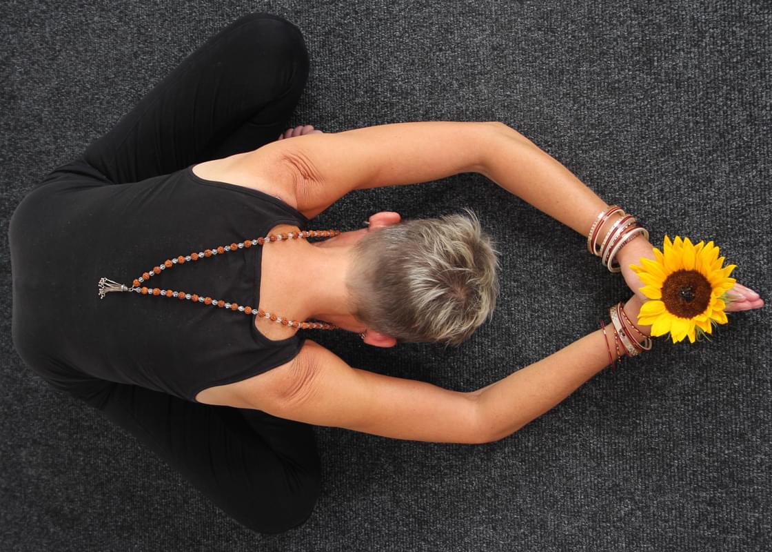 Hænder der holder en solsikke